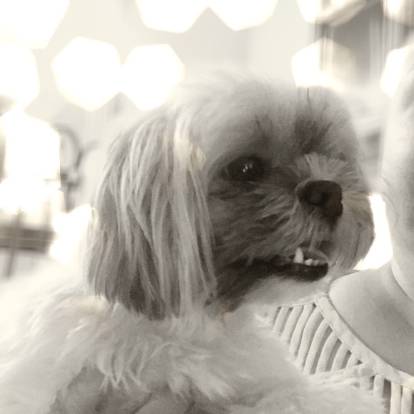 Meet your Posher, Jill - Picture 1 of 4